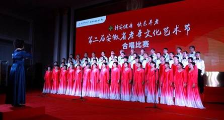 喜迎十九大 讴歌新时代——第二届安徽省老年文化艺术节合唱大赛圆满落幕